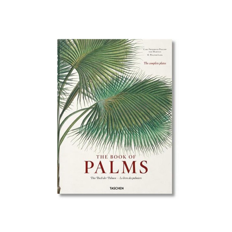 The Book of Palms - von Martius